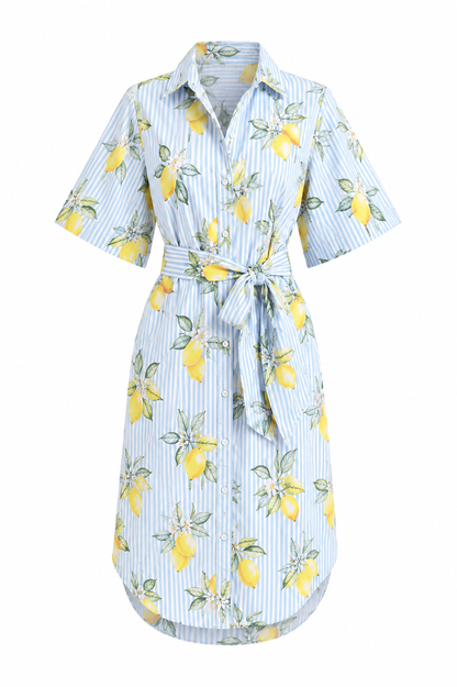 Collared Short Sleeved Shirt Dress with Waist Tie